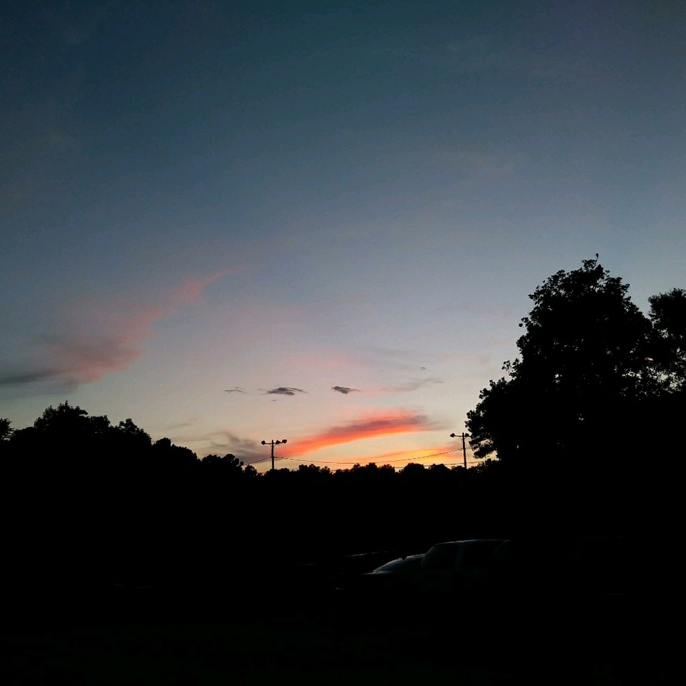 Meet your Posher, Musa